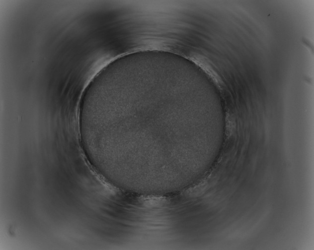 X0000093360886200710191055