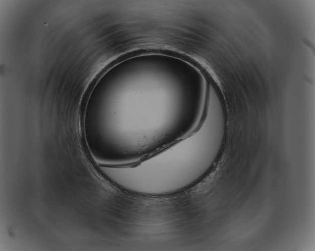X0000093360887200710191055
