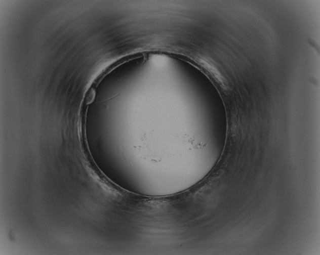 X0000093360888200710191055