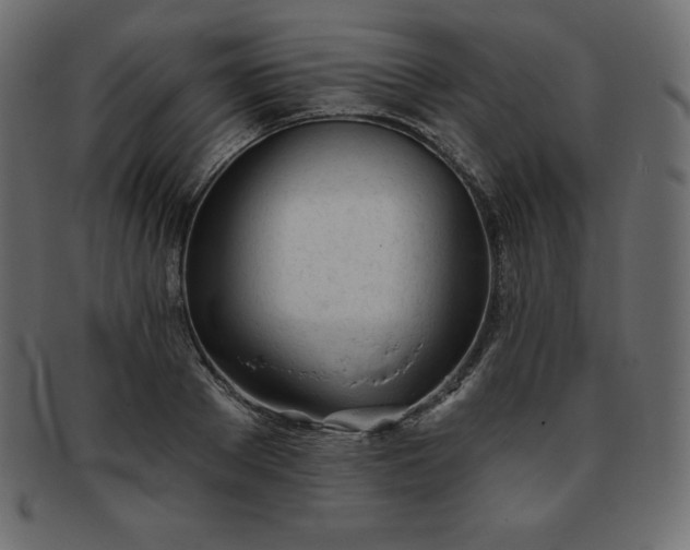 X0000093360889200710191055