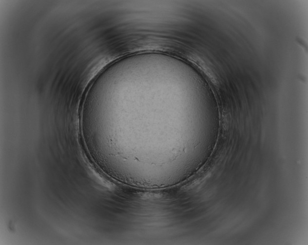 X0000093360890200710191055