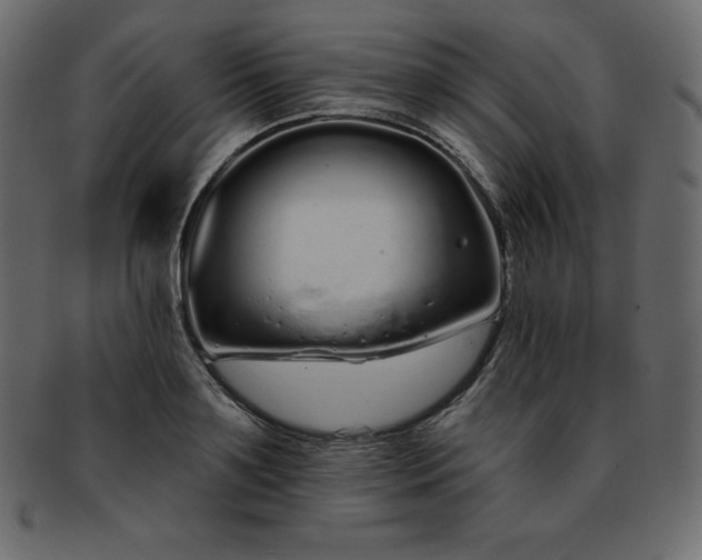 X0000093360891200710191055