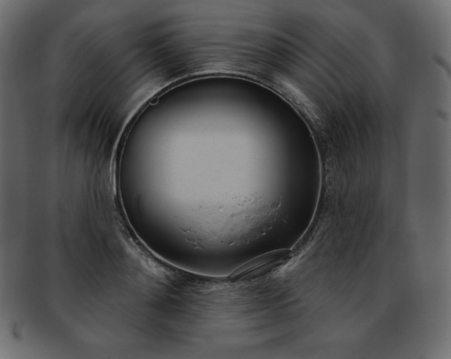 X0000093360892200710191055