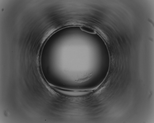 X0000093360893200710191055