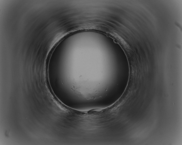 X0000093360894200710191055