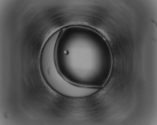 X0000093360895200710191055
