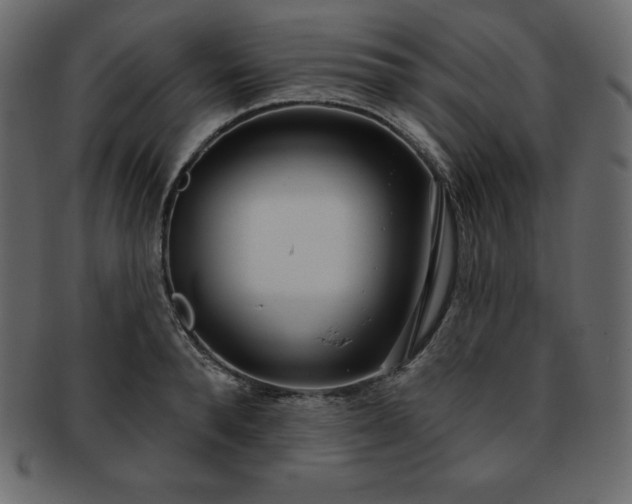 X0000093360896200710191055