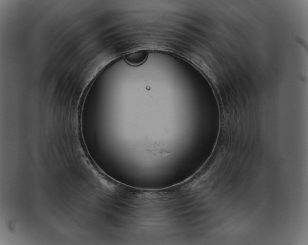 X0000093360898200710191055