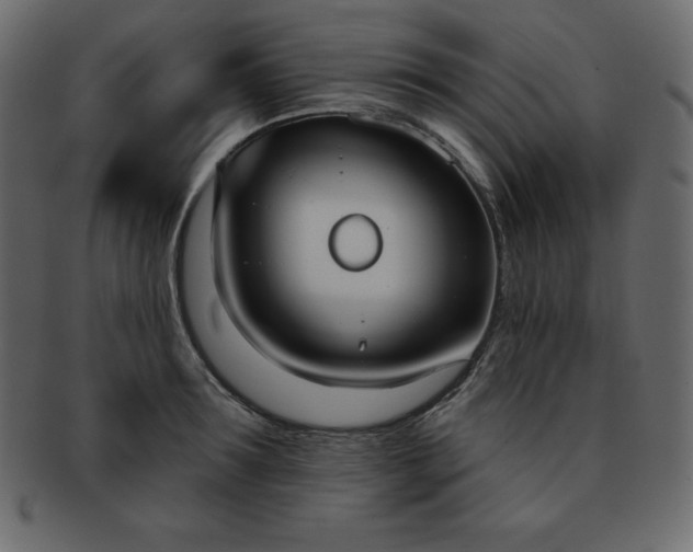 X0000093360899200710191055