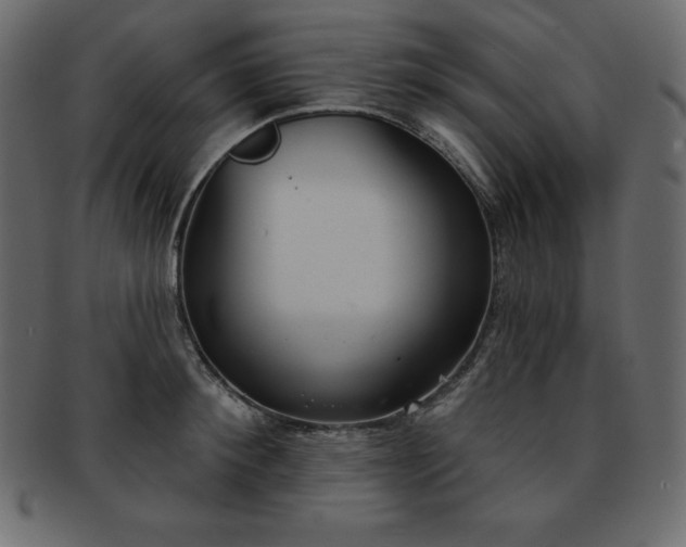 X0000093360900200710191055