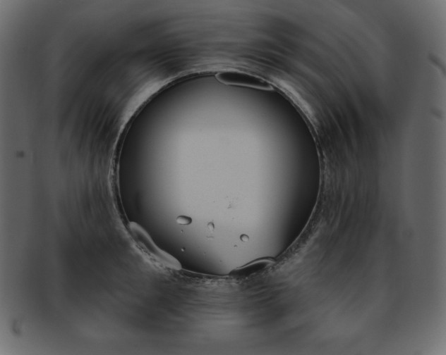 X0000093360901200710191055