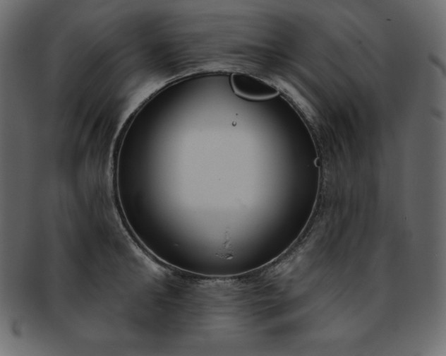 X0000093360902200710191054