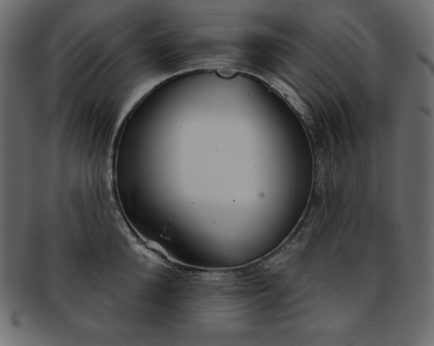 X0000093360904200710191054