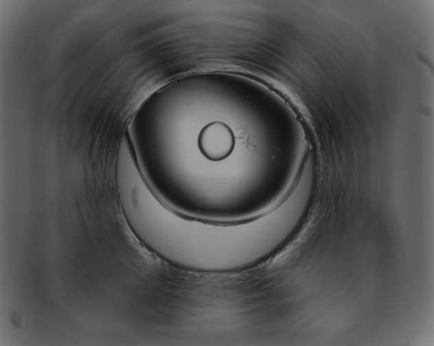 X0000093360905200710191054