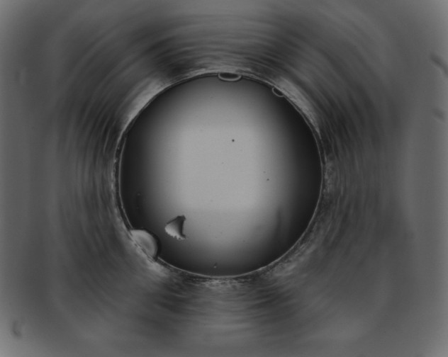 X0000093360906200710191054