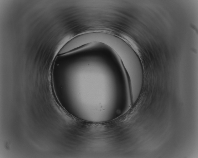 X0000093360907200710191054
