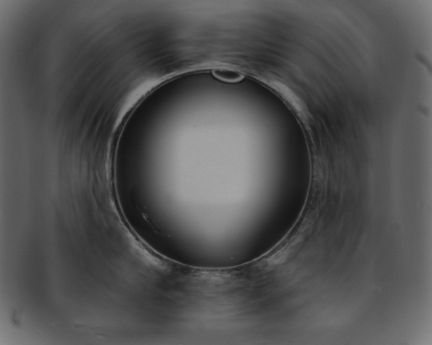 X0000093360910200710191054