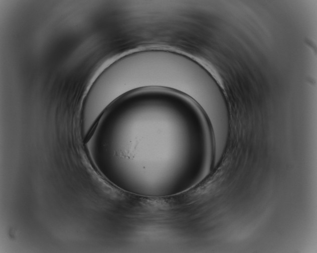 X0000093360911200710191054