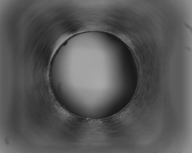X0000093360912200710191054