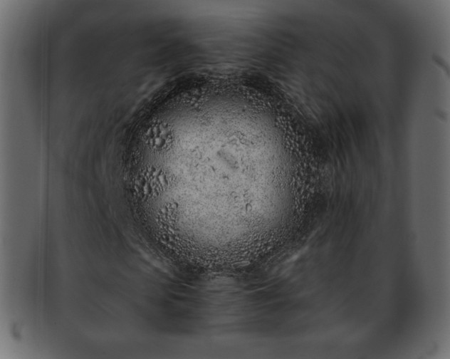 X0000093360913200710191054