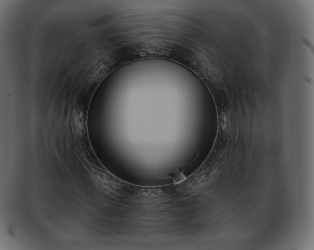 X0000093360915200710191054
