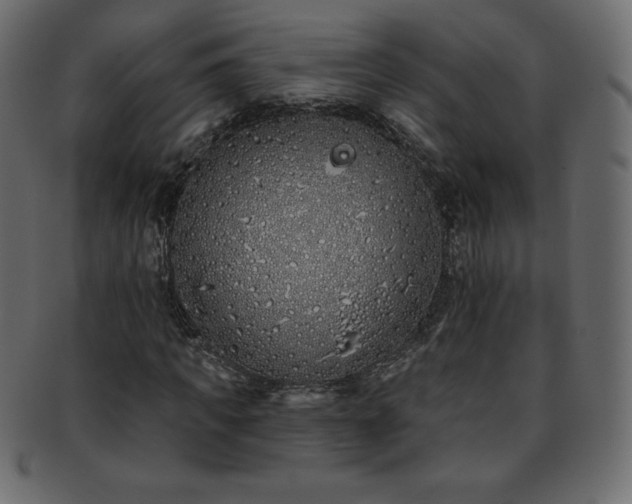 X0000093360917200710191054