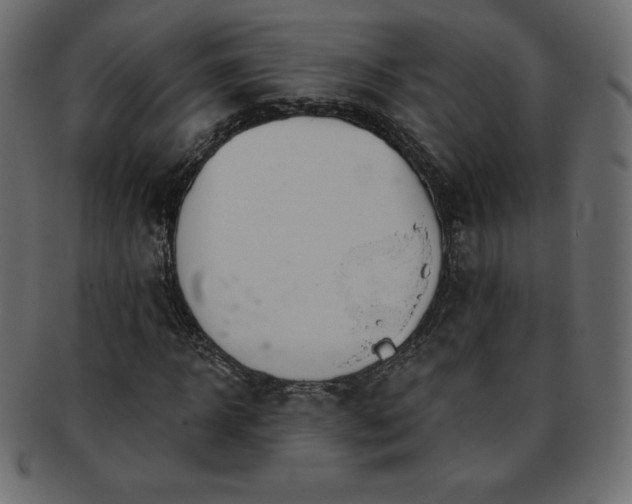 X0000093360918200710191054