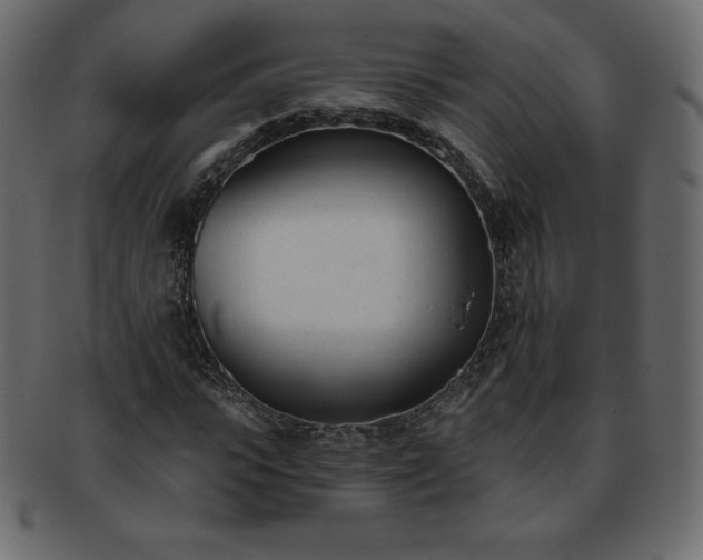 X0000093360919200710191054