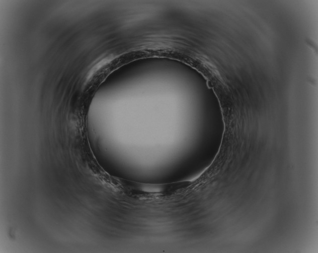 X0000093360920200710191054