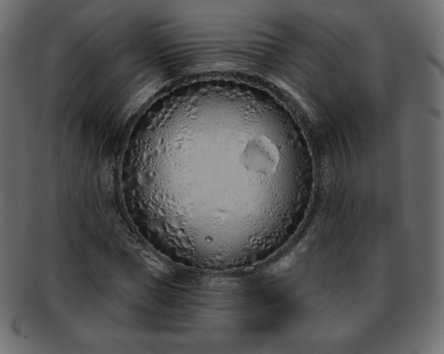 X0000093360921200710191054