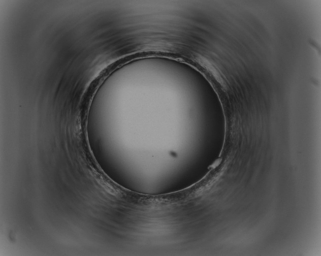 X0000093360923200710191054