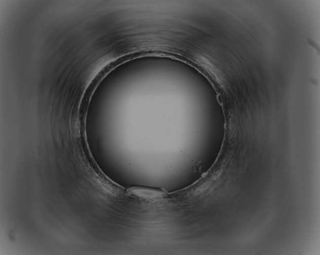 X0000093360924200710191054