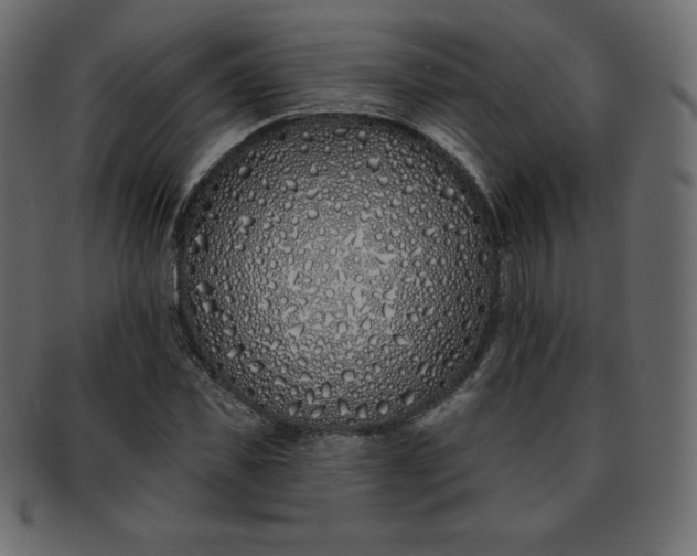 X0000093360925200710191054