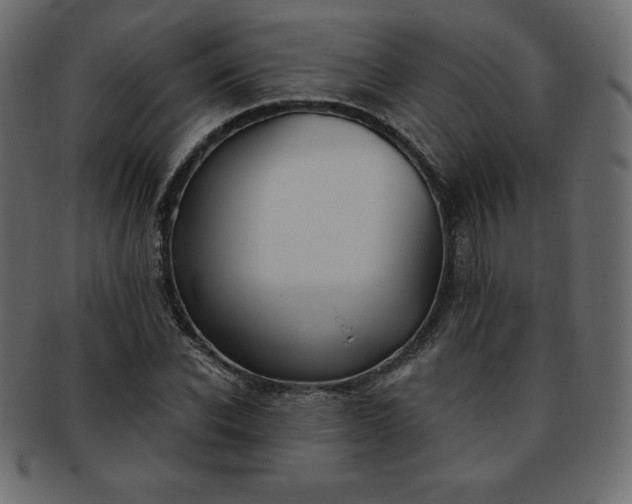 X0000093360926200710191054