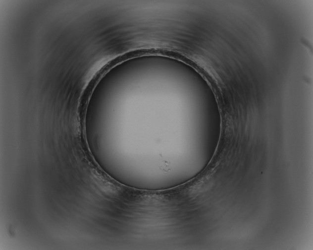 X0000093360927200710191054