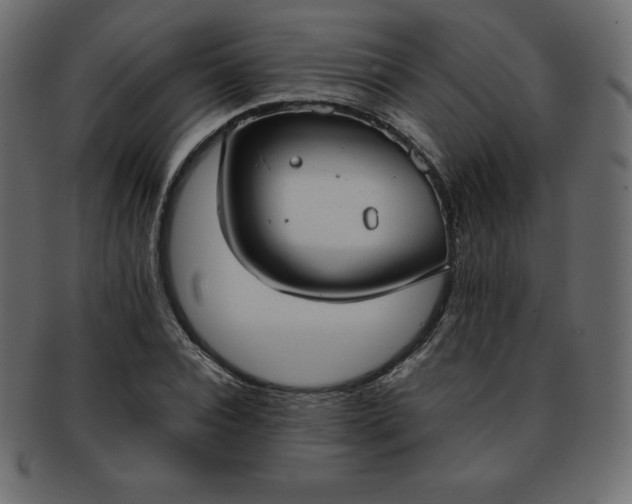 X0000093360928200710191054