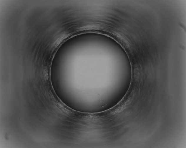 X0000093360929200710191054