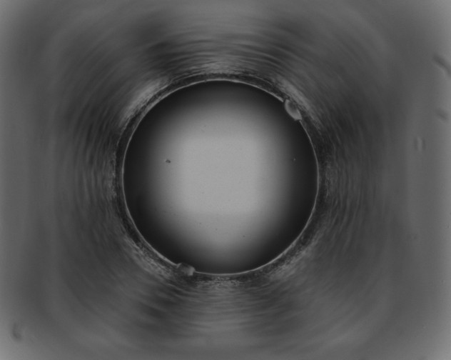 X0000093360930200710191054