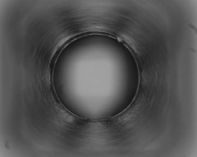 X0000093360931200710191054
