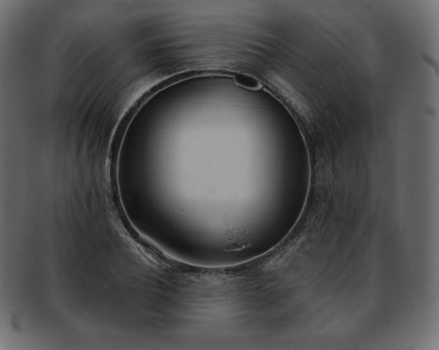 X0000093360932200710191054