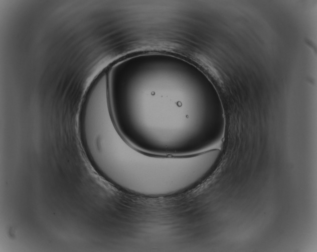 X0000093360936200710191054