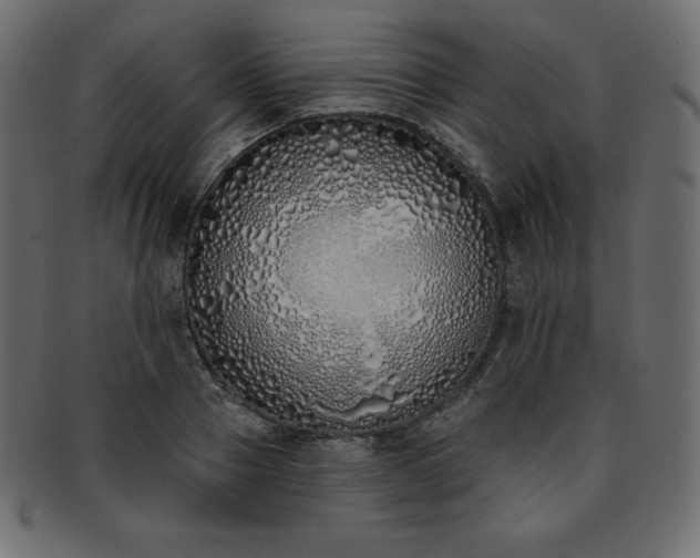 X0000093360937200710191054