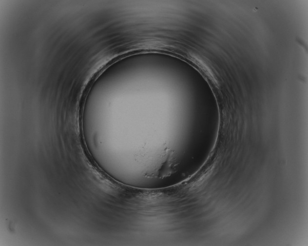 X0000093360939200710191054