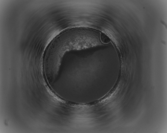 X0000093360941200710191054