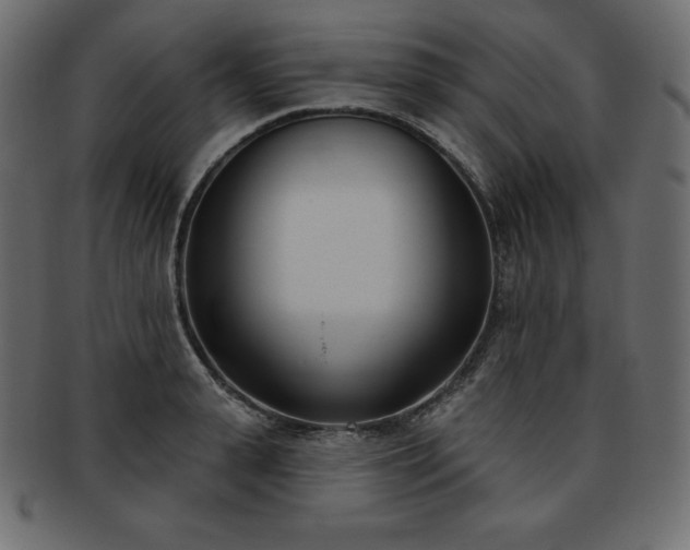X0000093360943200710191054