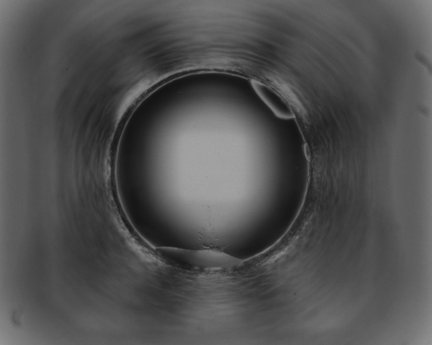 X0000093360944200710191054
