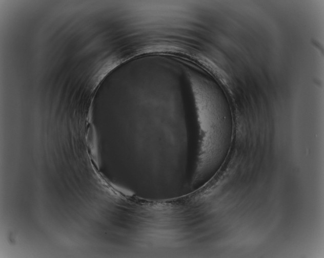X0000093360945200710191054