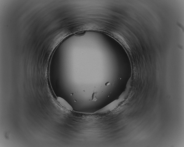 X0000093360946200710191054
