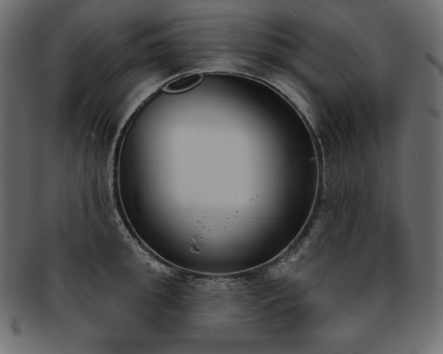 X0000093360949200710191054