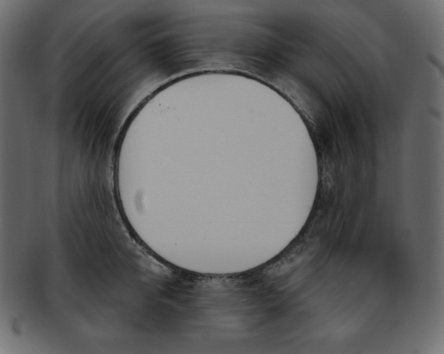 X0000093360950200710191054